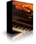 Musical Instrument Learning & Practice Motivation (3G - Type B) - Indigo Mind Labs Subliminals