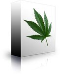 Stop Using Marijuana 4g (Type B) - Indigo Mind Labs Subliminals
